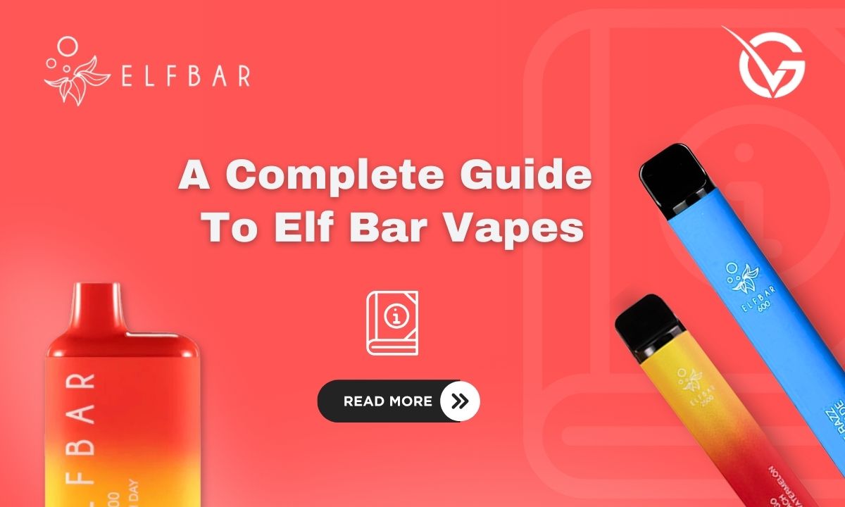 A Complete Guide to Elf Bar