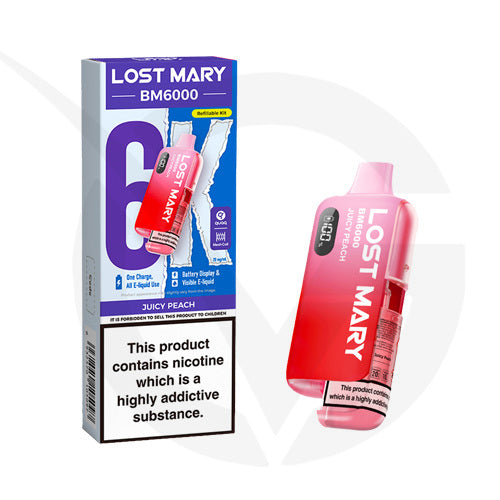 Lost Mary BM6000 Prefilled Pod Kit