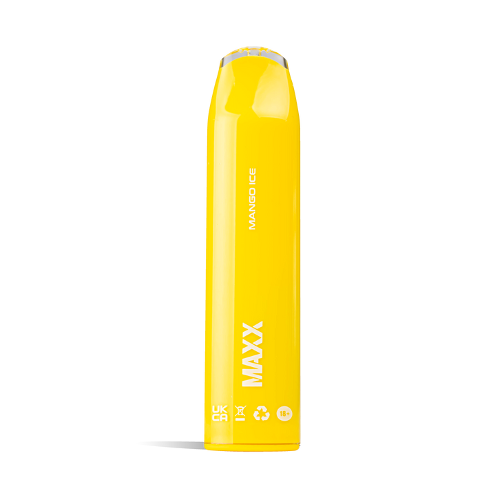 HYPPE MAXX 600 Puffs Disposable Vape Pod Kit Device